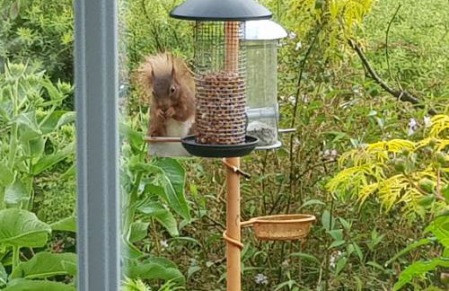 Argyllholidaycottage Loch Awe - Foto 13