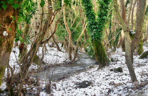 Chalet Coquelicot (Co-cli-co) relax in nature - Photo 51