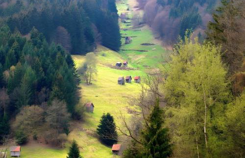 Ferienhaus Paula - Foto 34