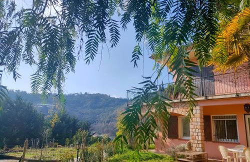 Un brin de paille - Foto 11