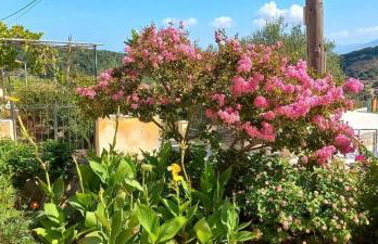 Traditional House - Foto 43