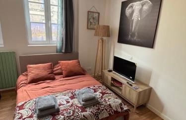 Studio Voyage - Proche centre ville - Foto 8