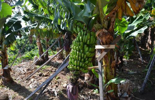 Casa d' Avó Zeza - Foto 78