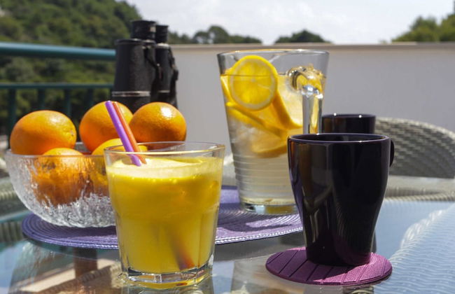 Apartments Posta - One-bedroom Apartment With Terrace and Sea View - Apartman 5 - Photo 10