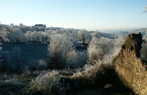 Maison charmante à Meyrignac-l'Église avec cheminée - Foto 11
