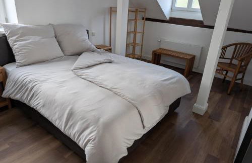 Winzervilla Kammerhof - 3x stilvolle & geräumige FeWos mit Moselblick, 2-12 Gäste buchbar, direkt am Moselradweg - Foto 33