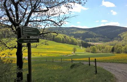 Ferienwohnungen Weißflog - Foto 46