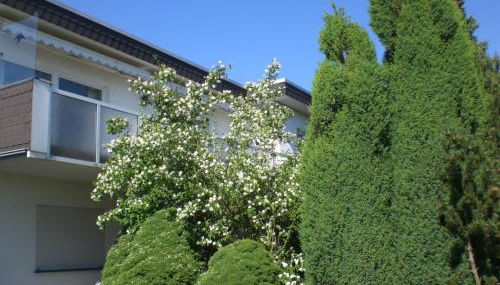 Apartment Ambiente in Homberg ot Welferode by Interhome - Foto 2