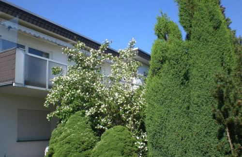 Apartment Ambiente in Homberg ot Welferode by Interhome - Foto 2