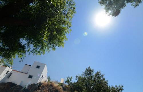 Moinho da Capela - Foto 34