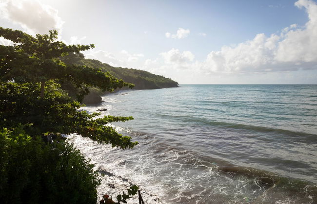 Eden Roc Villas - Photo 55