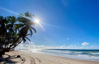 StellaPremium - Photo 8