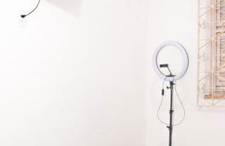 Casa no Jardim Renascença- Bird House Renascença - Photo 7