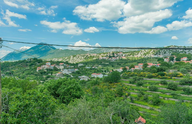 House Cattleya - Photo 26