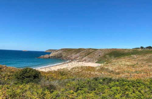 Gîte L Olivier confort, détente avec jacuzzi à 4km de la plage- Cap Fréhel - Foto 25