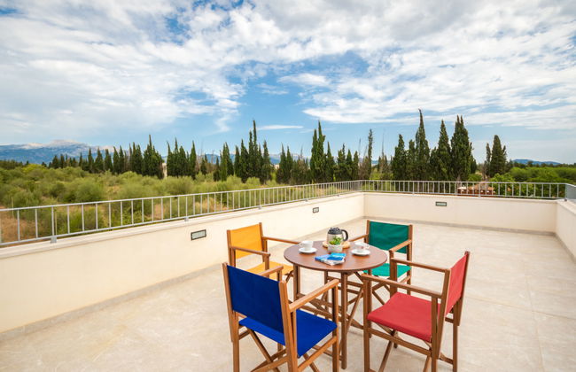 Son Vivot - Photo 27