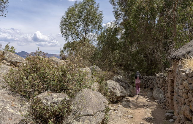 Andean Glamping - Foto 45