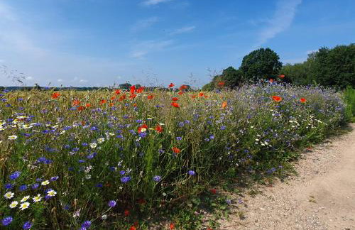 Zacisze Jurajskie - Foto 40
