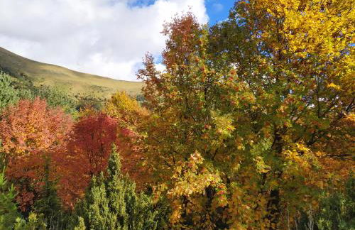 Apartamentos Casa Modesto - Foto 35