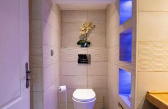 Le pic-vert - Foto 29