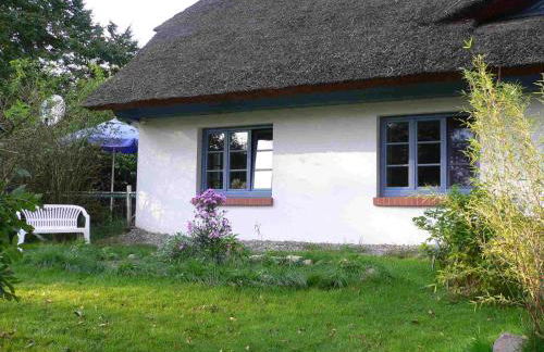 Lütt Stuuv am Dorfanger - Foto 29