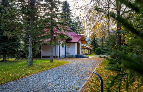 Nad Wilczym Potokiem - Foto 18