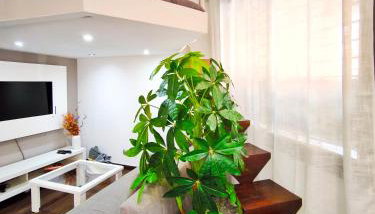 Apartamento en Terrassa en alquiler vacacional - Foto 2