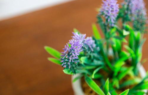 5 Bed Seaside Property with Garden , Parking and Games Room - Foto 10