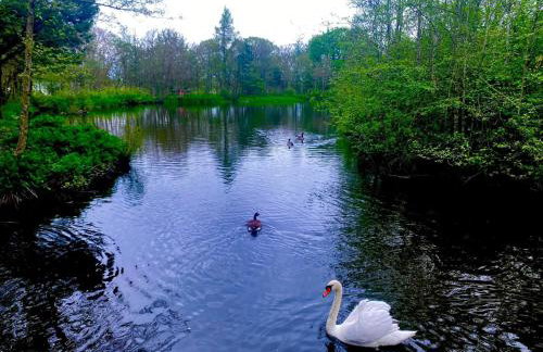 Laura's Lodge Hot Tub Log Cabin, Felmoor Park, Morpeth, Northumberland - Photo 38