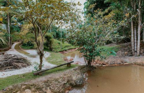 Sítio incrível 4Q c/ piscina e área de churrasco - Foto 11