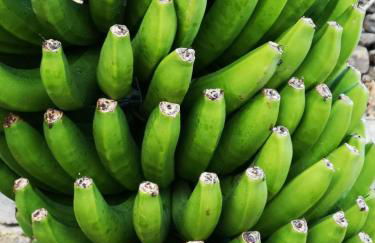 Independent house in rural setting - Foto 6