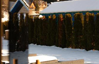 Zacisze Beskidu - Foto 19