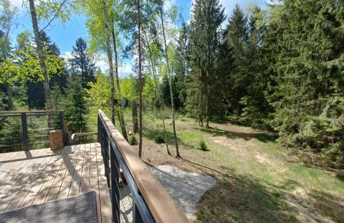 Zdalnie z Lasu - Siedlisko w Puszczy Białowieskiej - Foto 6