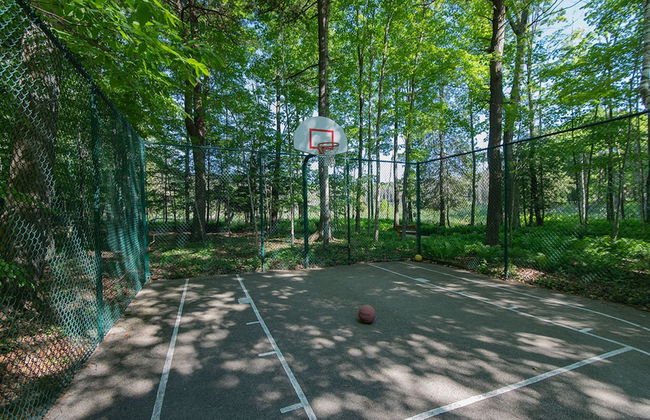 The Rushes - Foto 36