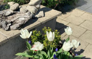 Babas rooms - Foto 36