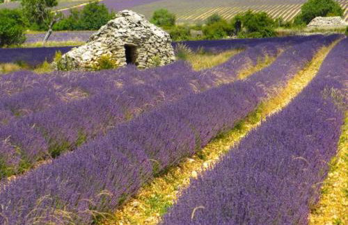 Château Luxury Stay Montbrun - Foto 29