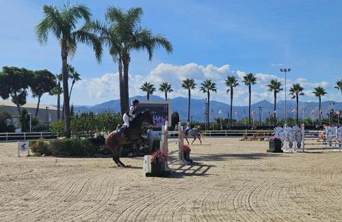 Apartamento con piscina en Oliva Nova - Foto 48