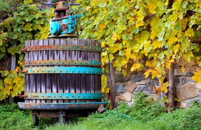 Holiday Apartment Schlossberg - Foto 16