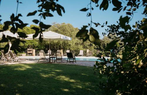 Tenuta il Sassone - Wine&Food - Foto 31