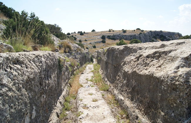 Finca El Romeral - Foto 40
