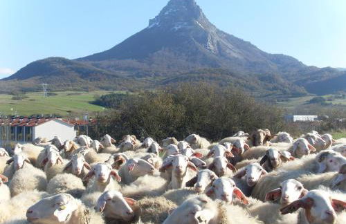 Casa Rural Reparaz - Foto 28