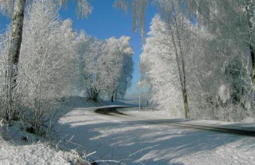 Apartment Landhaus Wildfeuer by Interhome - Foto 4