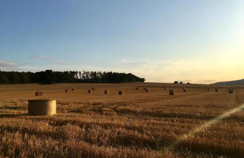 Ferienwohnung Denecke - Foto 17