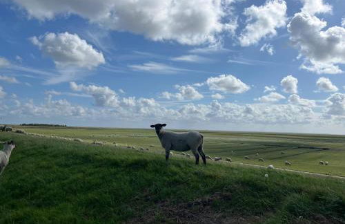 Frieda - Ferienwohnung mit Deichblick - Foto 38