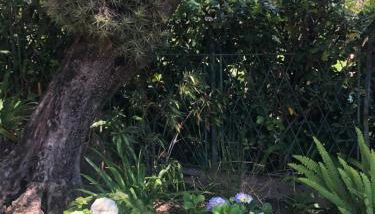 Vista Portofino - Foto 5