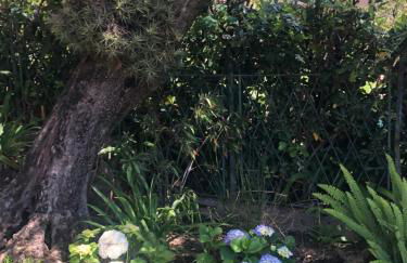 Vista Portofino - Foto 5