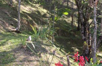 Solar Mirandela - Foto 39