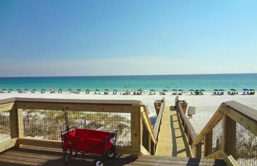 Yellow Bird - Foto 51