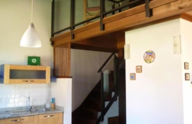 Laurel apt With Shared Pool - Photo 13