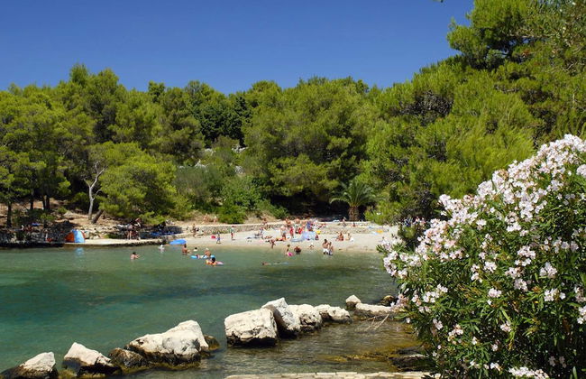 Comfortable Apartment in Stari Grad - Foto 30